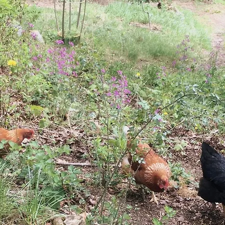 Natur, Seen, Sauna & Ruhe Im Brandenburgischen Seenland 아파트