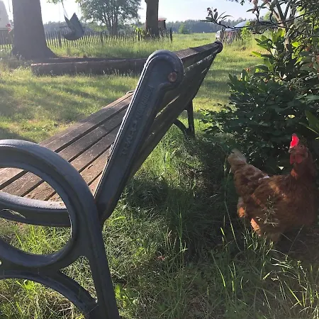 Natur, Seen, Sauna & Ruhe Im Brandenburgischen Seenland