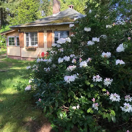 Natur, Seen, Sauna & Ruhe Im Brandenburgischen Seenland 아파트 Repente