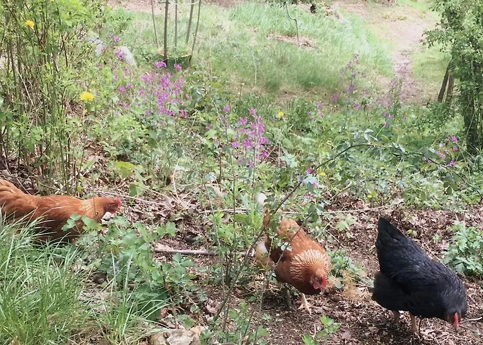 Natur, Seen, Sauna & Ruhe Im Brandenburgischen Seenland Lägenhet