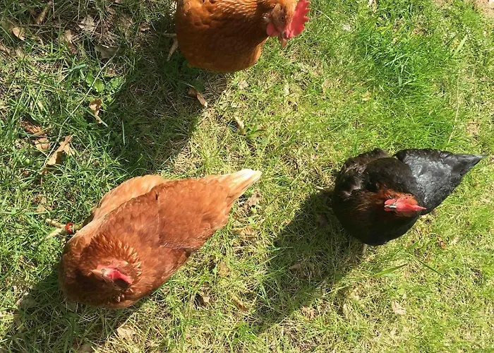 Natur, Seen, Sauna & Ruhe Im Brandenburgischen Seenland Lägenhet Repente