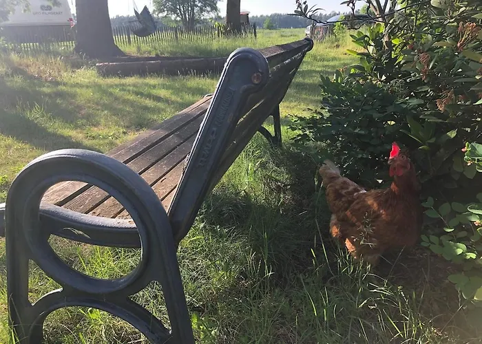 Natur, Seen, Sauna & Ruhe Im Brandenburgischen Seenland