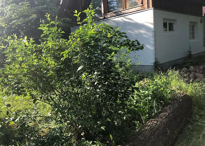 Natur, Seen, Sauna & Ruhe Im Brandenburgischen Seenland Lägenhet