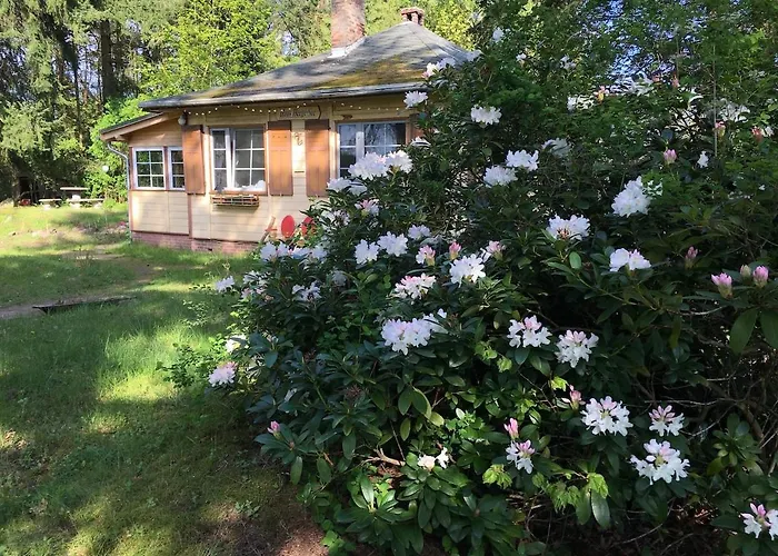 Natur, Seen, Sauna & Ruhe Im Brandenburgischen Seenland Lägenhet Repente