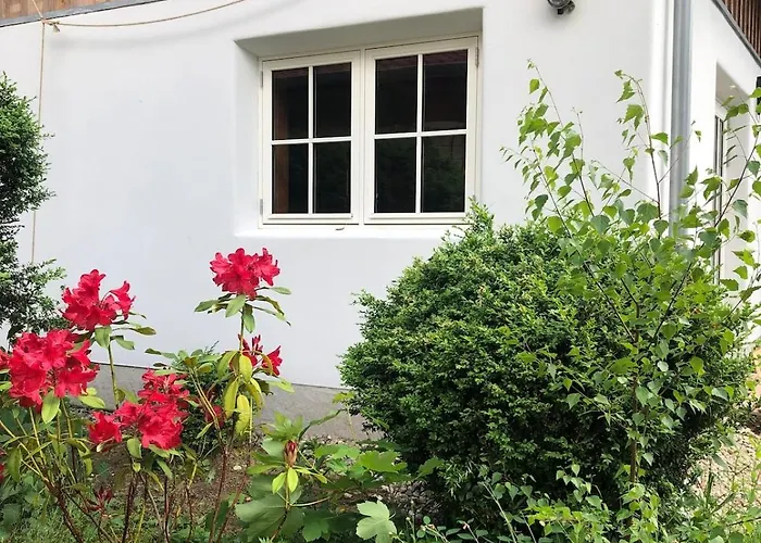 Natur, Seen, Sauna & Ruhe Im Brandenburgischen Seenland